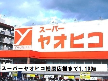 ラ・エルヴィータ その他外観2