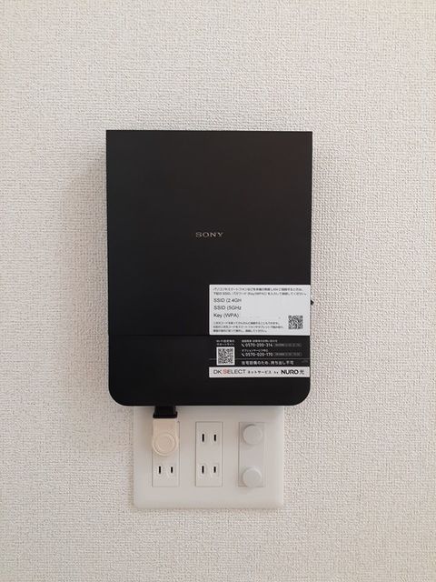 サイプレス　Ⅲ その他7