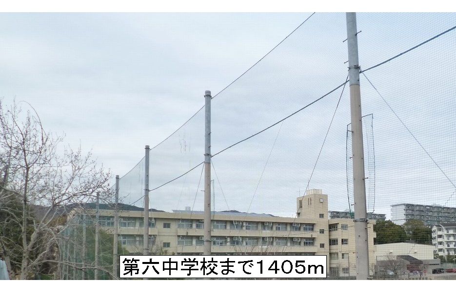 レディバードポイントＡ その他外観4