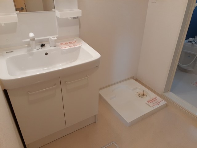 オリーブ その他2