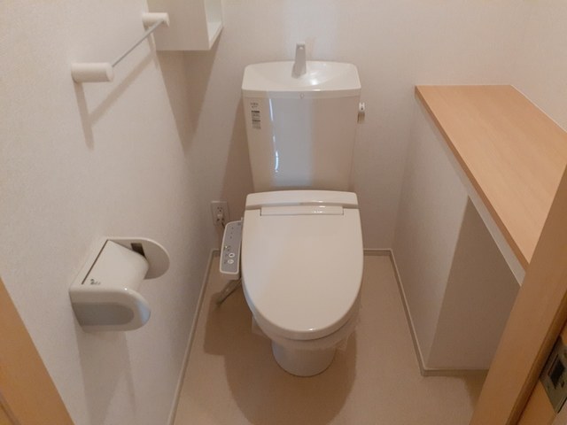 オリーブ その他3