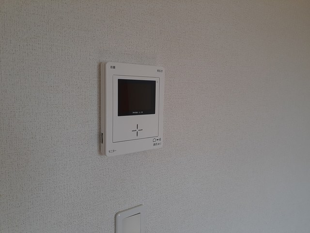 オリーブ その他5