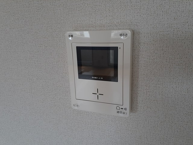 エバーグリーン その他5