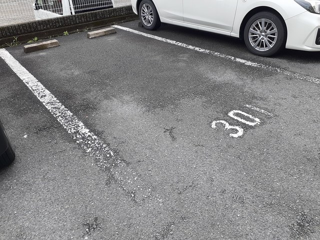 エバーグリーン その他7
