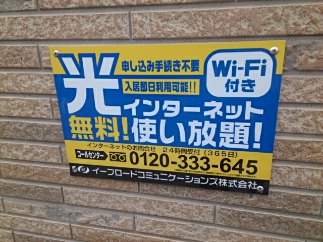 プラシード その他6
