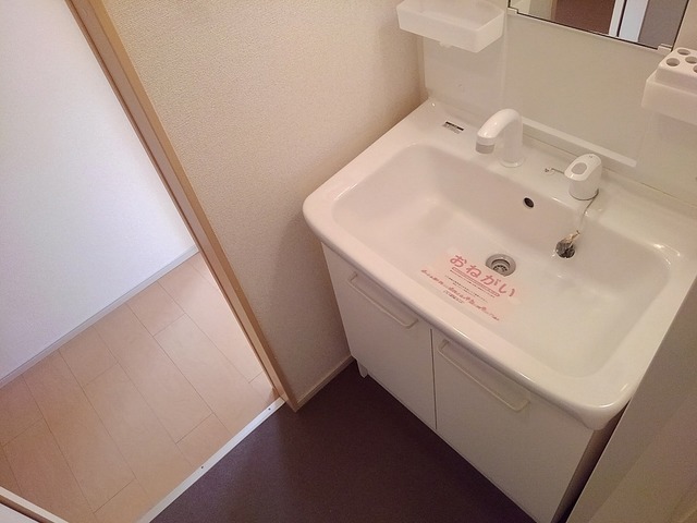 ホメ　ハウオリ その他2