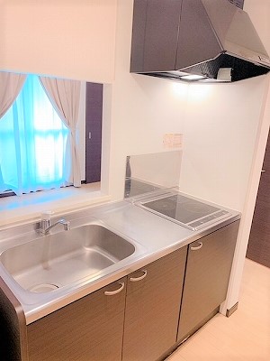 レオネクスト朝陽Ⅱ その他9