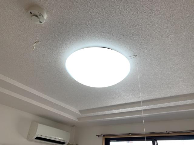 その他7