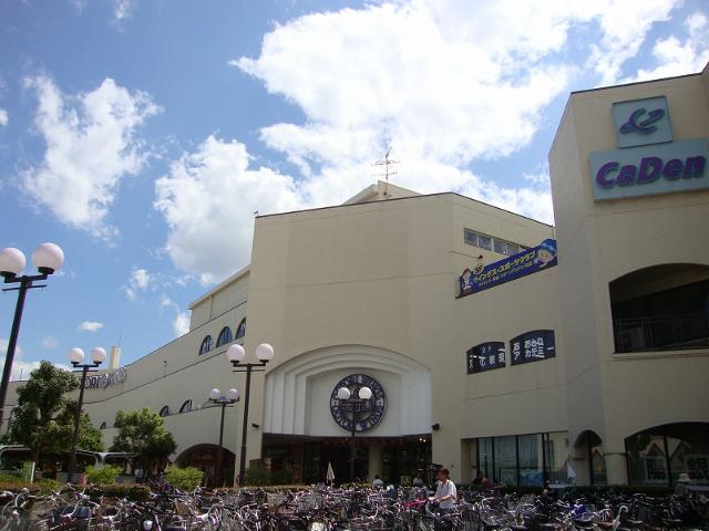 その他17