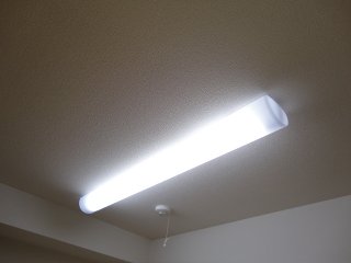 その他13