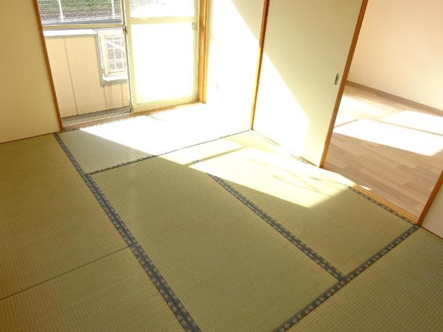 その他13
