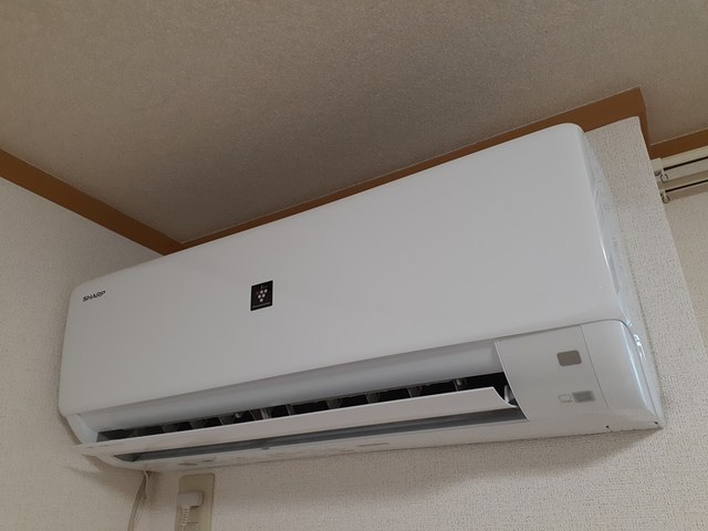 ドリームハウス その他1