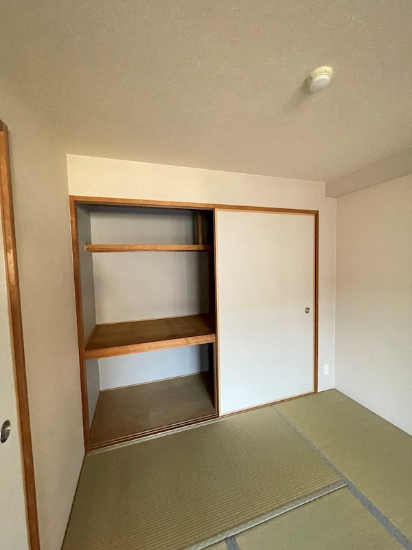 その他11