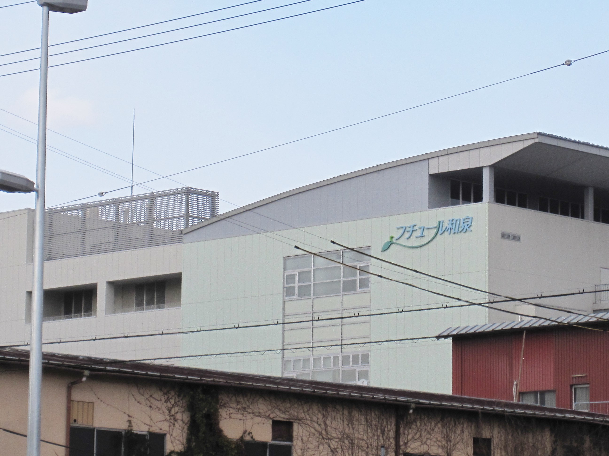 ウィステリア 周辺画像5