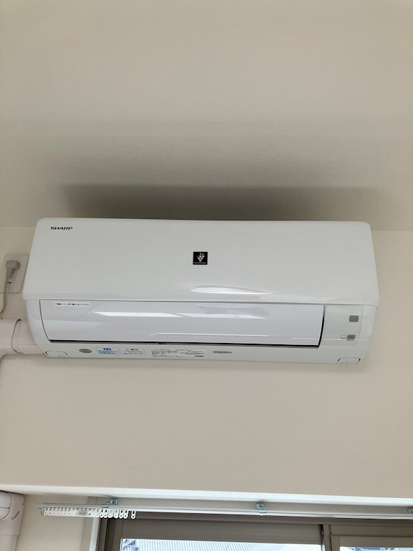 その他11