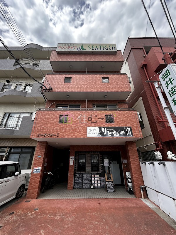 シータイガー１ その他外観1