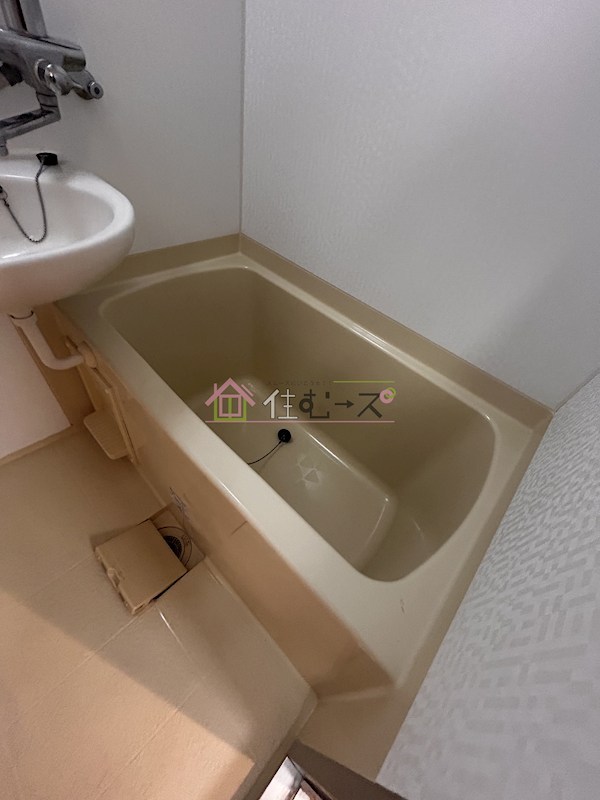 シータイガー１ 風呂画像