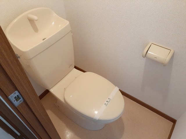 ヴィヴィッド その他2