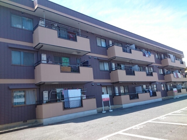 ロイヤルアイフティ 外観