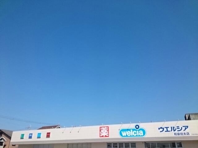 ロイヤルアイフティ その他外観3