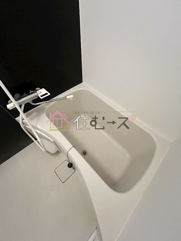 グランパシフィック恵美須西 風呂画像