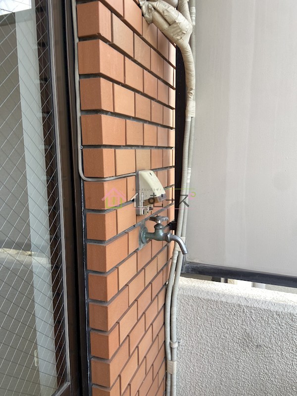 ハツヒビル その他2