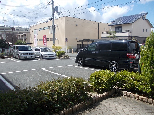 プリムローズ その他9