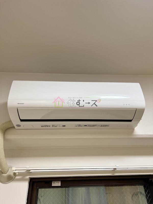 Halさくら その他6