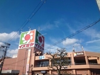 アーモンドアイ その他外観1