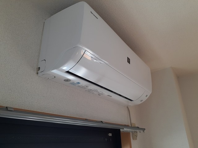 エストグリーン その他1