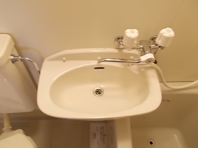バイオレット輝 その他1