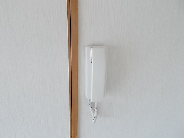 バイオレット輝 その他3