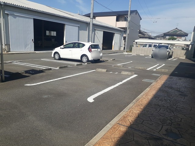 パイン・ツリー その他5