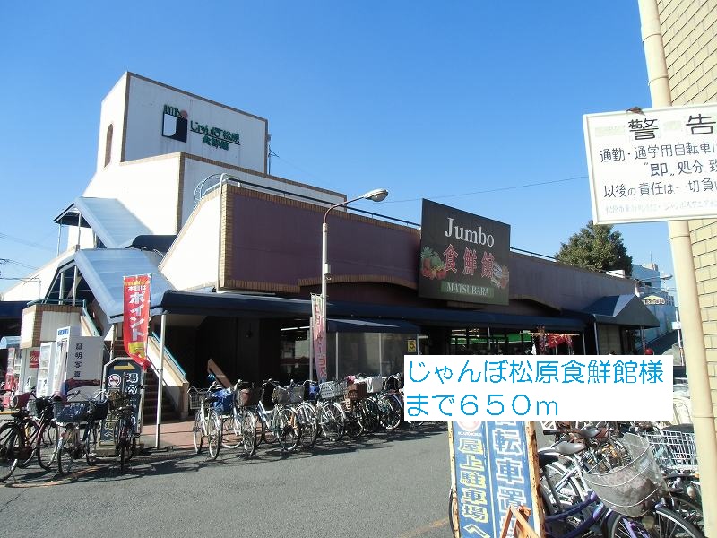 パイン・ツリー その他外観5