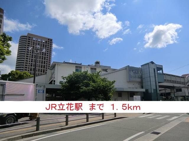 Ｃｈｅｒｒｙ　Ａｍｂｅｒ その他外観1
