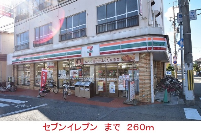 Ｃｈｅｒｒｙ　Ａｍｂｅｒ その他外観4