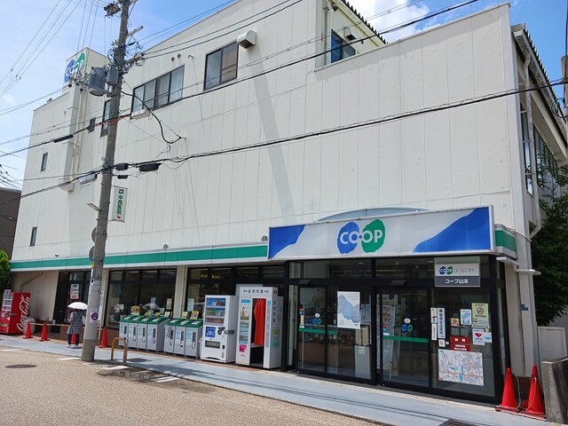メゾン　グランシャン その他外観4