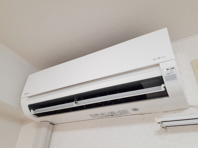 ドマ－ニ その他3