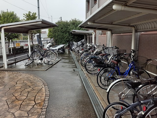 ドマ－ニ その他6