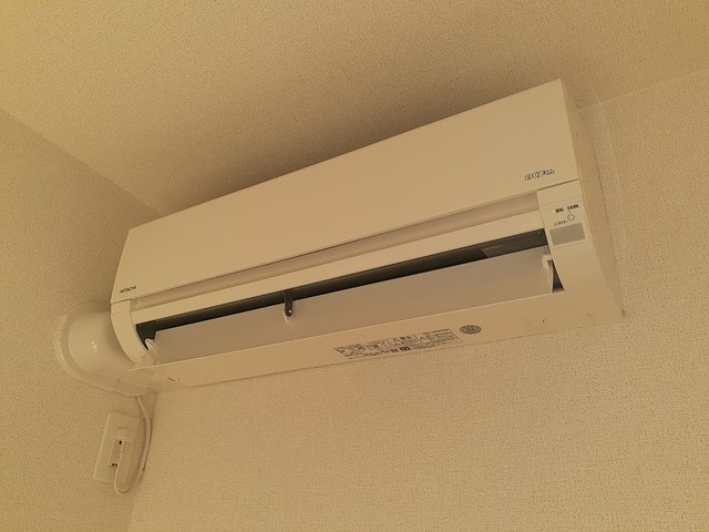 エストレーラ その他3