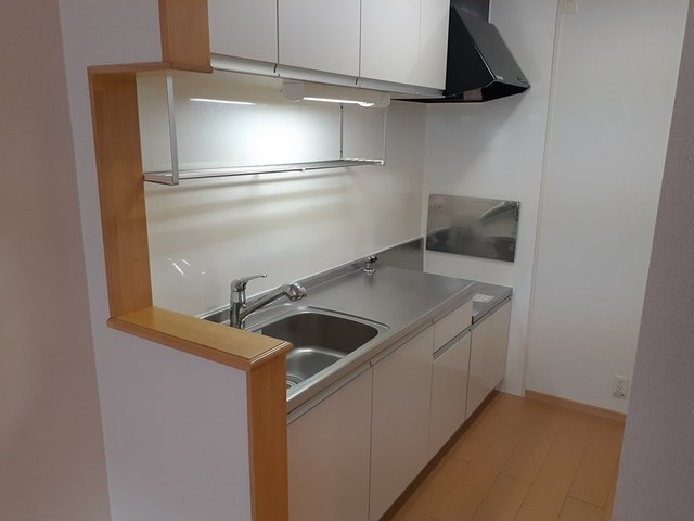 ラフレシール・メゾン・宮﨑Ⅱ キッチン