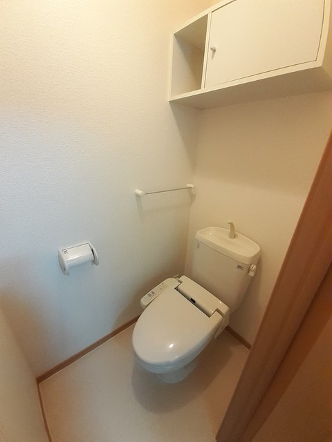 プリムローズ その他4