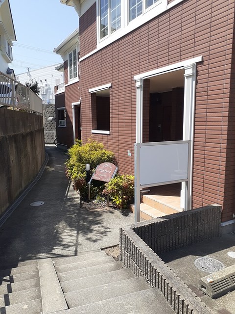プリムローズ その他6