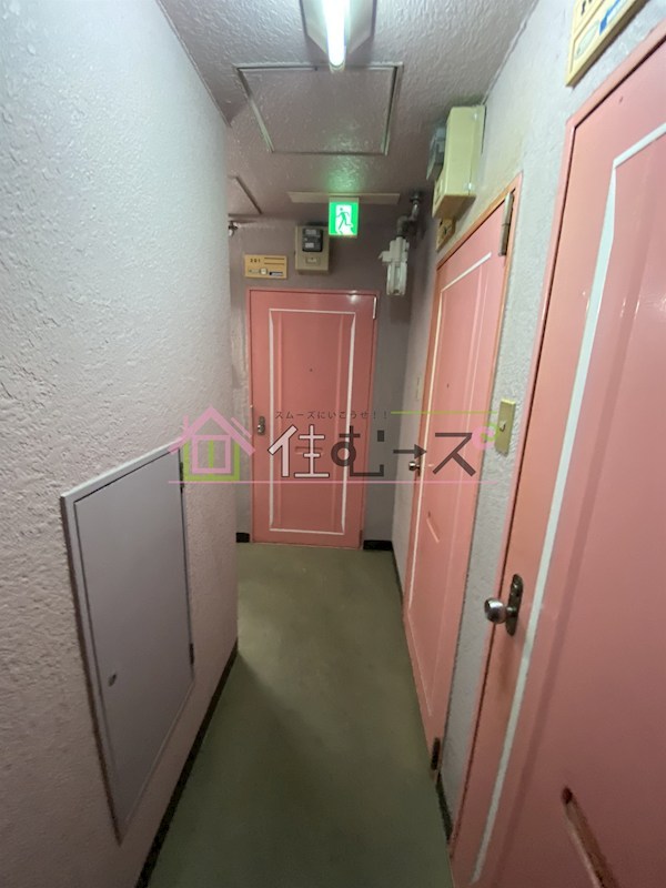 チェリス桜川 その他外観5
