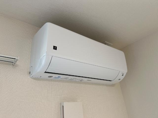 カンパニュール その他7