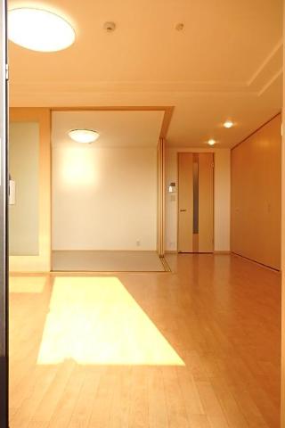 その他15