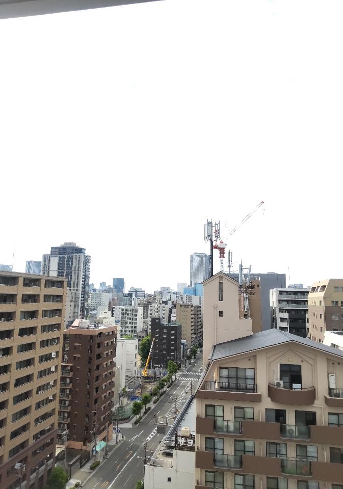その他11