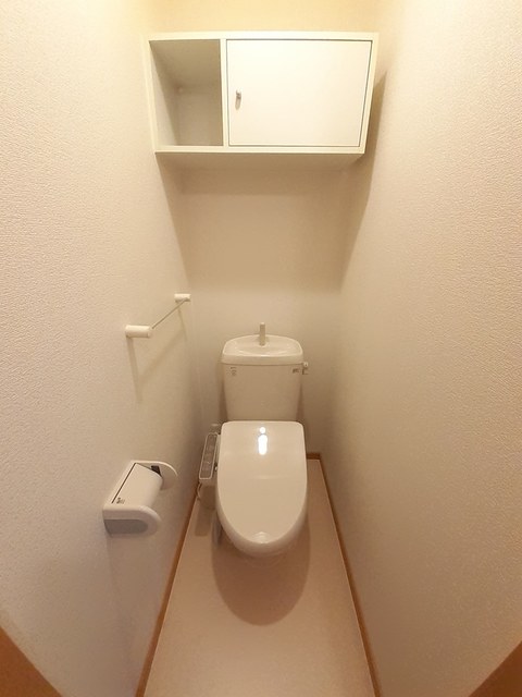 コスモス その他4