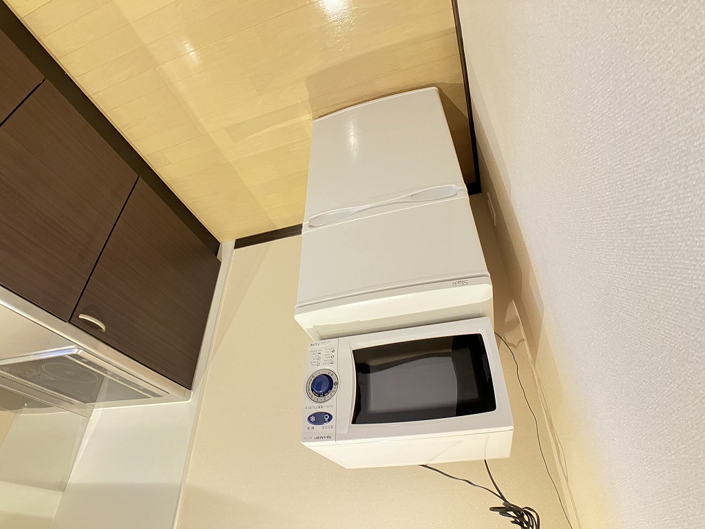 レオネクスト清水Ⅳ その他14