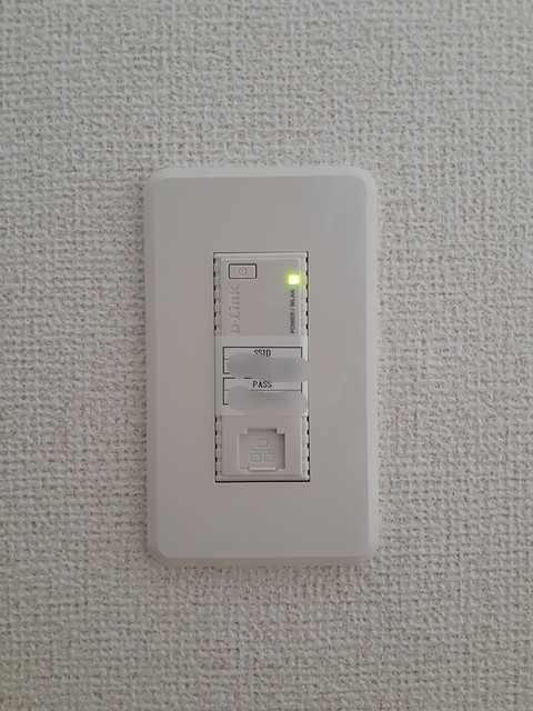 アムール葵 その他7